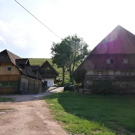 Σπίτι διακοπών Im Schwarzwald - Kornspeicher